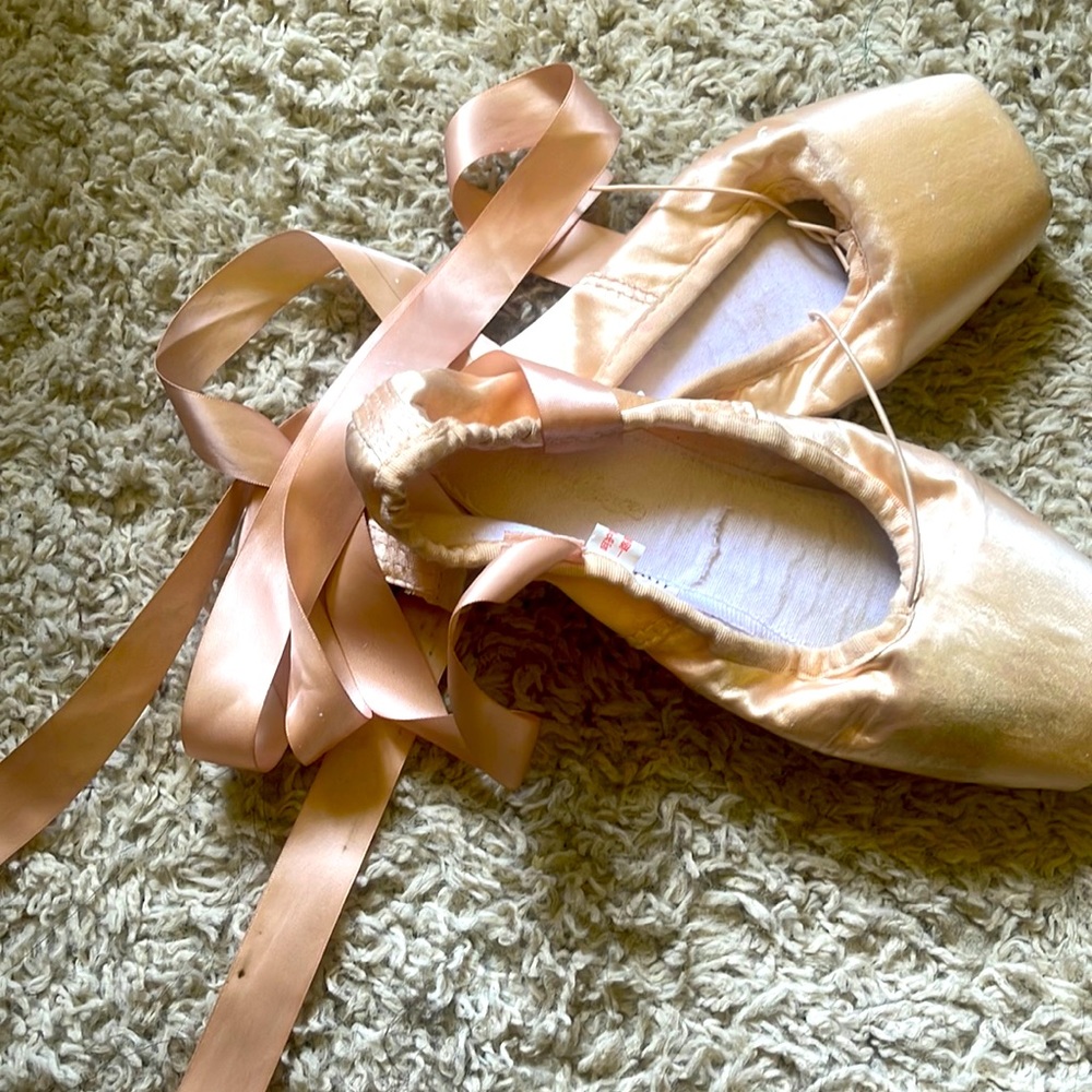 Day Dance Ballet Shoes (lightly used) they just didn’t fit me.